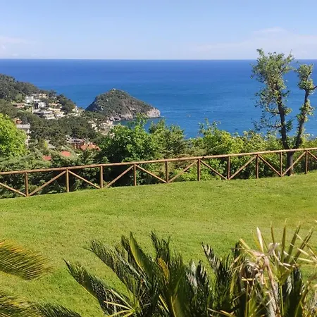 Il Giardino Sull'isola - - Apartamento