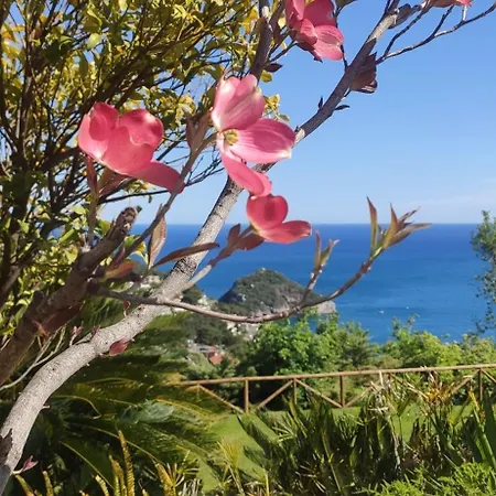 Il Giardino Sull'isola - - Bergeggi