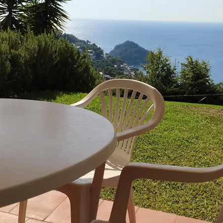 Il Giardino Sull'isola - -