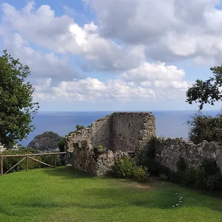 Il Giardino Sull'isola - - Bergeggi