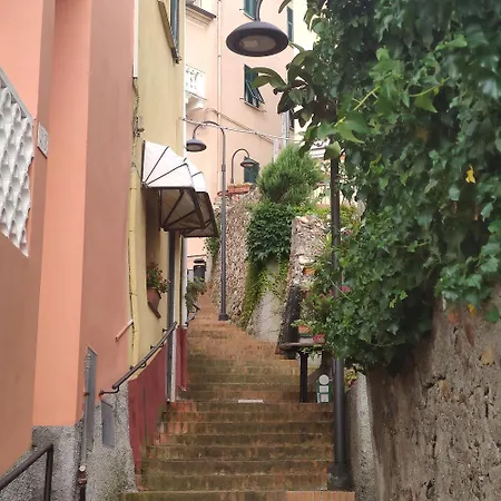 Il Giardino Sull'isola - - Bergeggi
