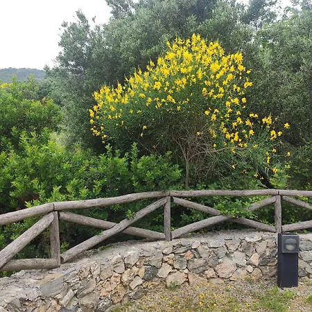 Il Giardino Sull'isola - - * Bergeggi