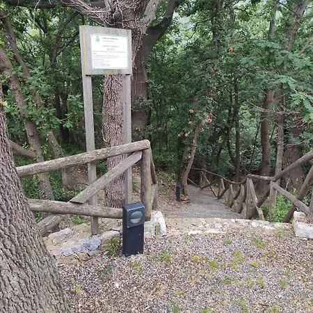 Il Giardino Sull'isola - - *