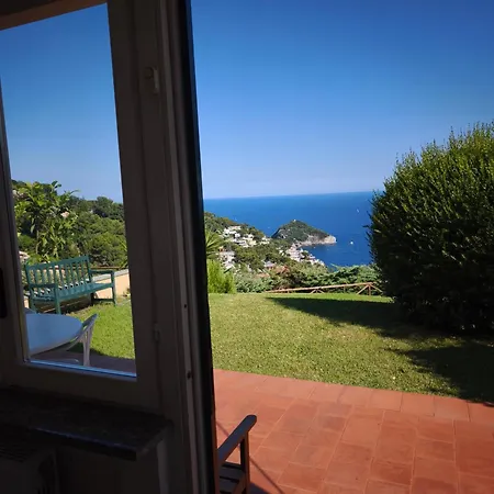 Il Giardino Sull'isola - - Bergeggi
