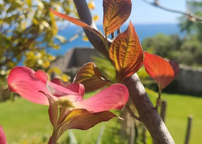 شقة Il Giardino Sull'isola - - *