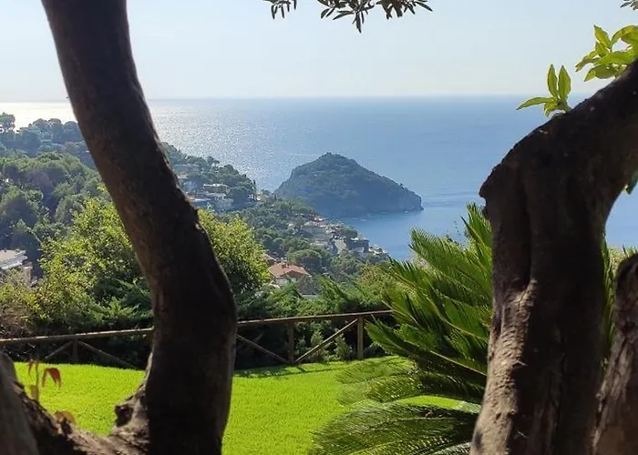 شقة Il Giardino Sull'isola - - بيرغيجي