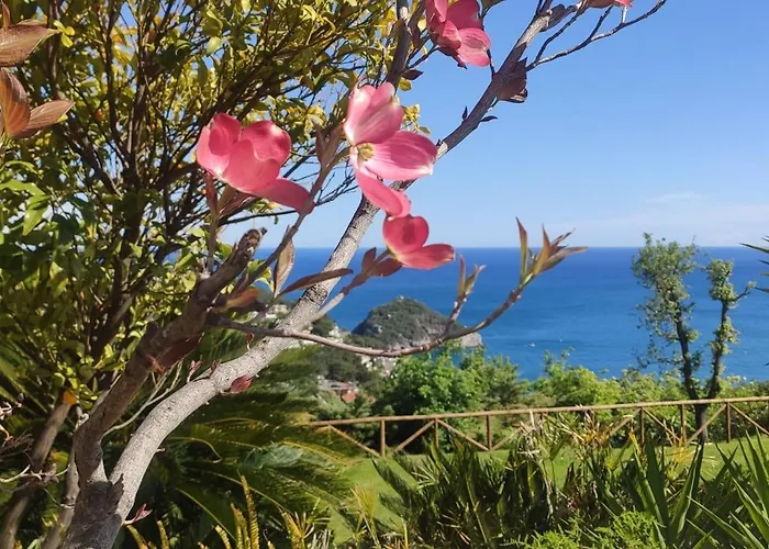 Il Giardino Sull'isola - - 베르게지
