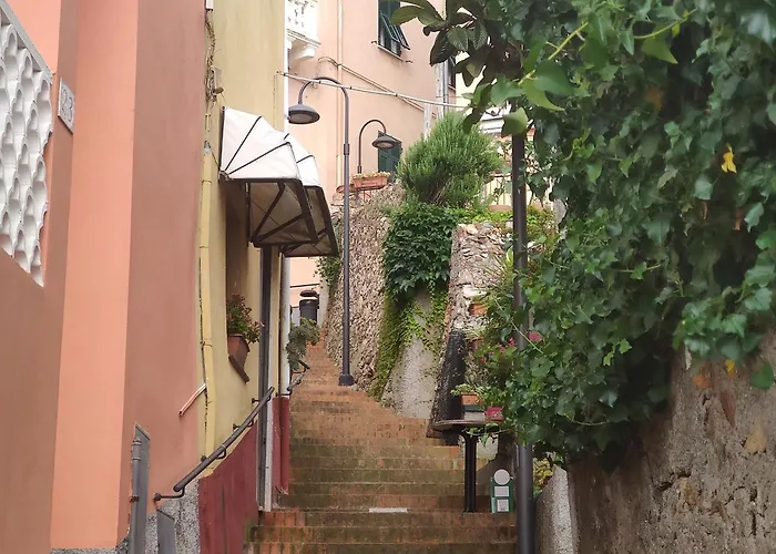 Il Giardino Sull'isola - - Bergeggi