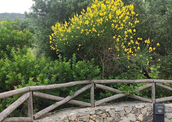 Il Giardino Sull'isola - - * بيرغيجي