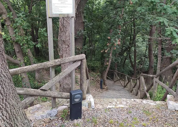 Il Giardino Sull'isola - - *