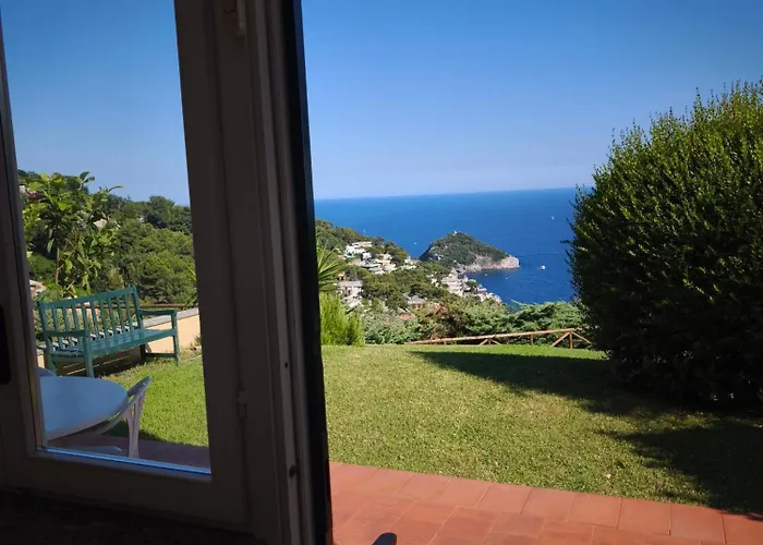 Il Giardino Sull'isola - - 베르게지